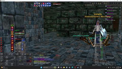 Everquest : A Nesting Rat