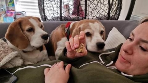 Eating food in front of annoying beagles