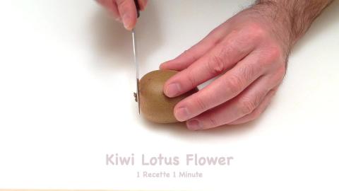 Kiwi Lotus Flower (shorts)
