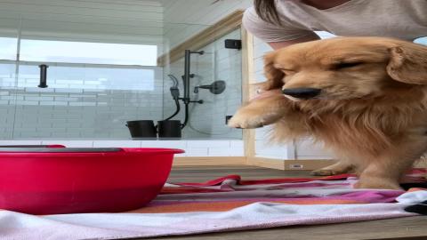 How to Clean Toe Beans