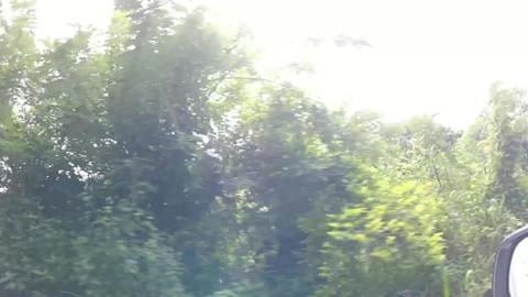 Green Countryside of Kerala