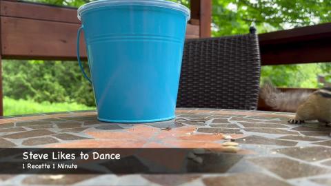 Steve Likes to Dance / Funny Chipmunk Video (shorts)