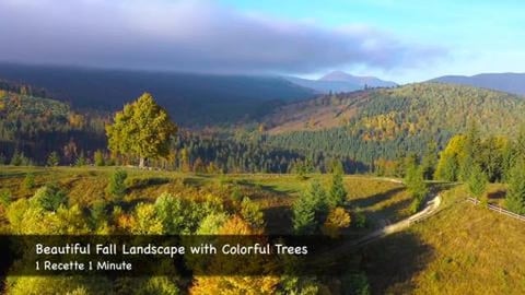 Beautiful Fall Landscapes with Colorful Trees