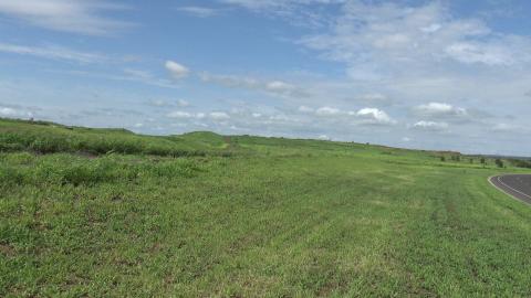 Walk around Welcamp airport with Husky's