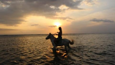Gili Trawangan Indonesia | Paddleboarding & Horseback Rid...