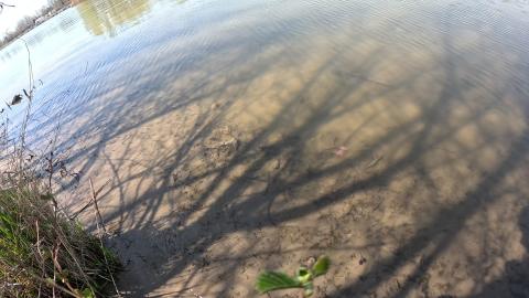 River Bank Drying Off Lake Erie