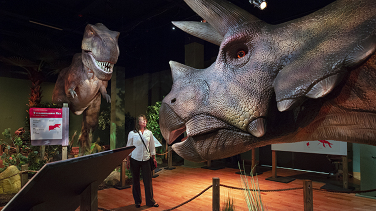 Dinosaur exhibit to reopen Thursday at Union Station Kansas City Star