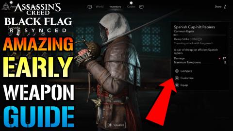 Assassins Creed_ Black Flag Resynced _Spanish Cup-hilt Ra...