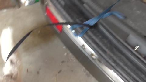 Trying to go to the shops with huskies. Someone doesn't w...