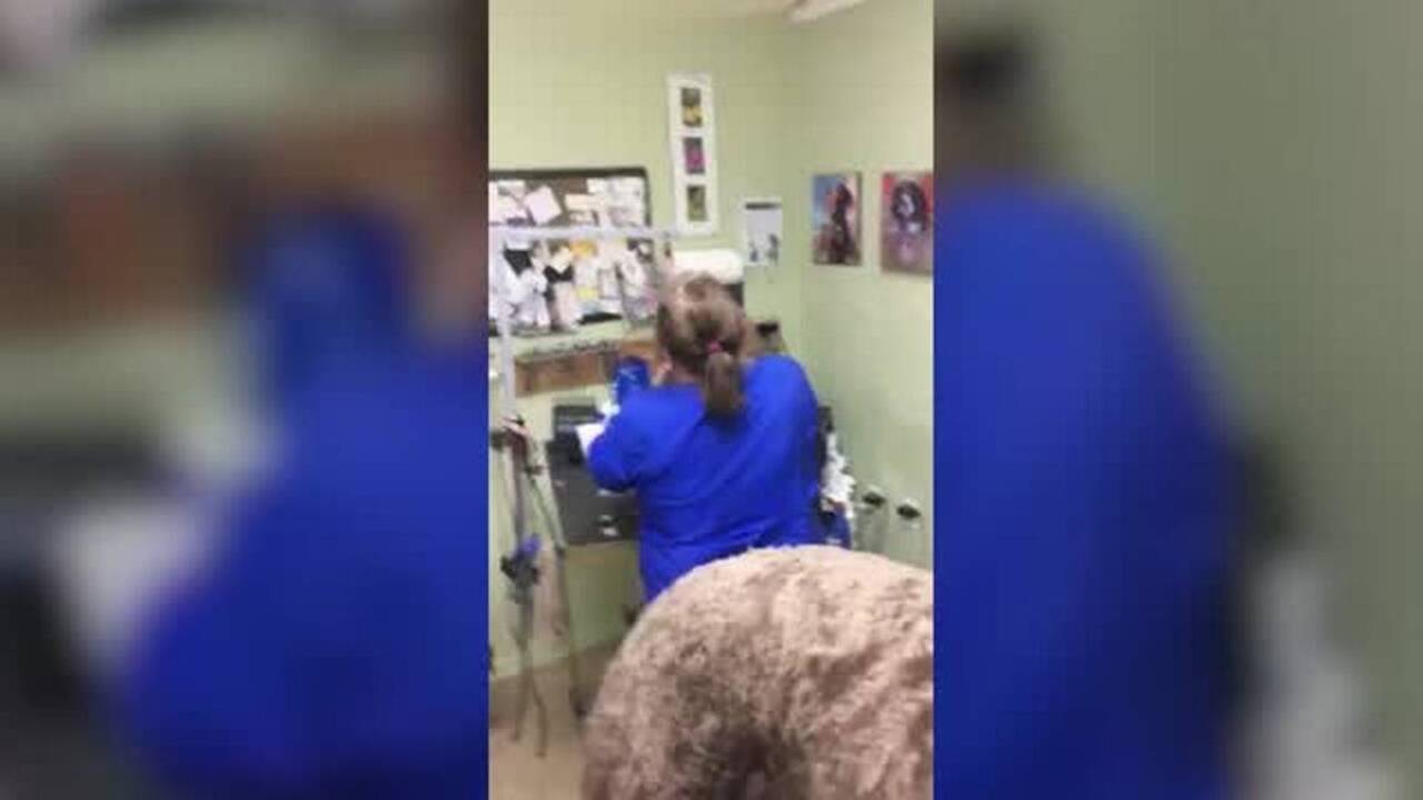 Video of groomer abusing dog goes viral Lexington Herald Leader