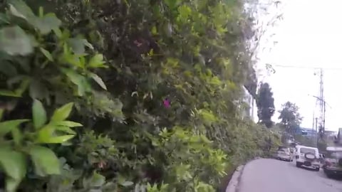 Reached Pelling by Car | Sikkim