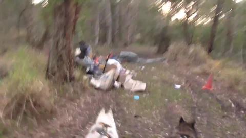 Kicked out off home. Malamute & Husky find personal belon...