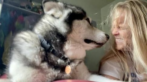 Tonka Finally Rubs His Scent On Me! 