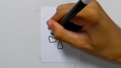 Drawing tatto v40 2024 shorts