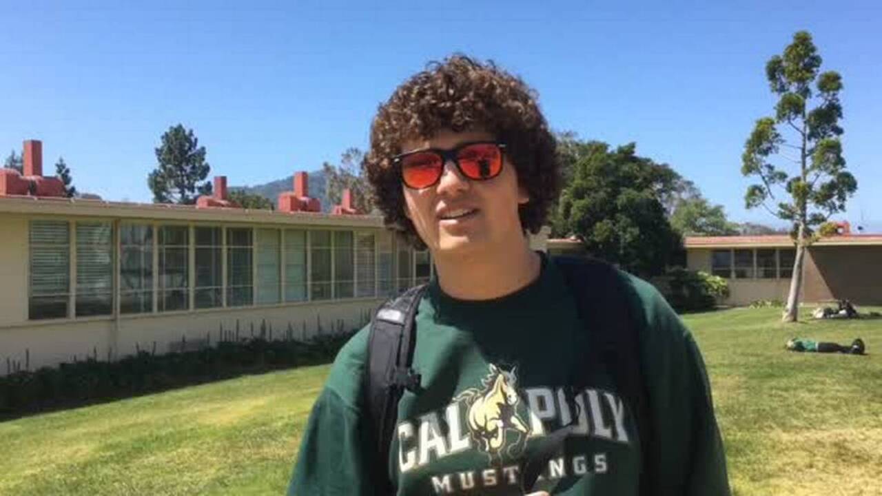 Why San Luis Obispo High School Students Want To Save 'The Big Tree ...