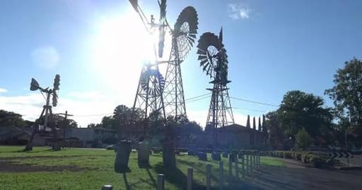 Why I can't video meeting dogs & Queensland trade college...