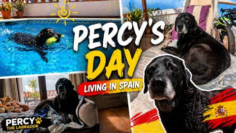 Percy´s day