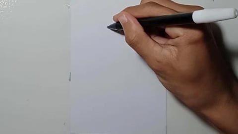 Drawing Graffity Character great white shark