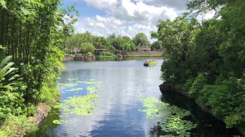FIRST LOOK - Animal Kingdom - Chip n' Dale & Goofy Waterc...