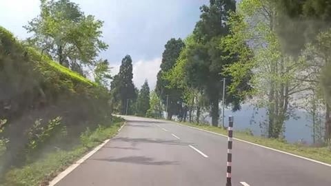 Travelling Through Tea Garden - Temi | Sikkim