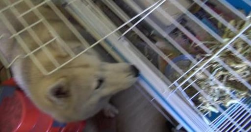 We have new familiy members, please give them names