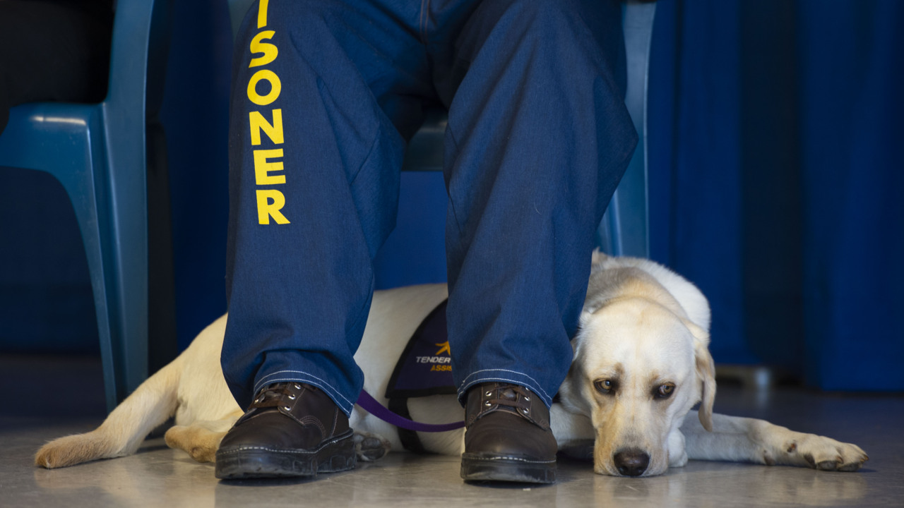 Service Dogs Graduate Training Program At Mule Creek State Prison