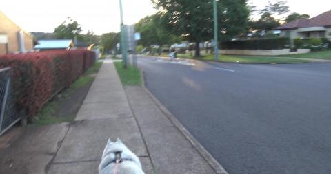Tikaani wanted to walk past mum's house