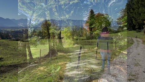 Germany Part 8 - Hiking tour Höhlmühle - Rundweg at H...