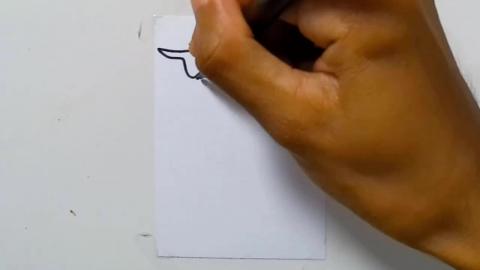Drawing tatto v184 2025 shorts