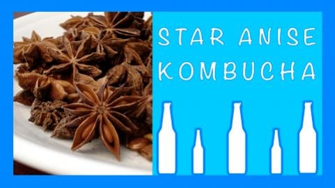 Homemade Star Anise Kombucha / Healthy, Sparkling & Refre...
