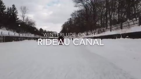 Big Crowds, Dinosaurs and Yurts on the Rideau Canal 