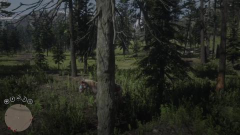 Red Dead Online Gameplay 20)
