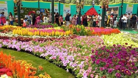 Lalbagh Flower Show | Festival of Colourful Flowers | Ben...