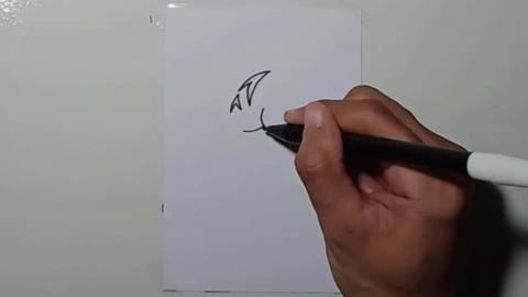 Drawing Tatto Tribal V6 Shorts