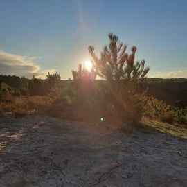 sint pieters mountain 