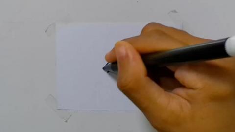 Drawing tatto v82 2024 shorts
