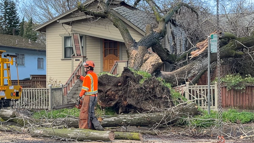 Video Sacramento CA storm knocks down trees Sacramento Bee