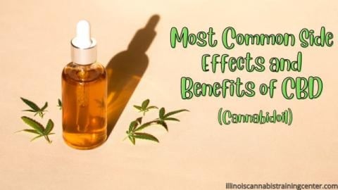 Most_Common_Side_Effects_and_Benefits_of_CBD