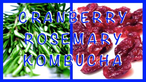 Homemade Cranberry Rosemary Kombucha / Healthy, Sparkling...