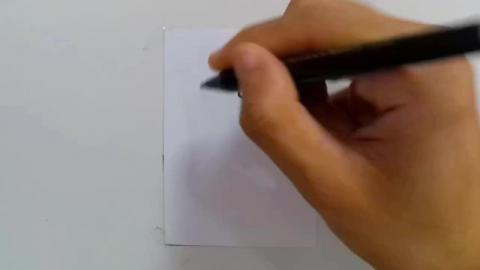 Drawing doodle V4 shorts