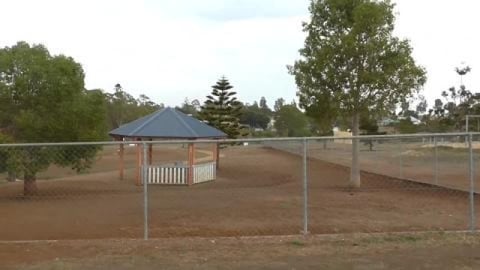 Huskies find a new dog park and Tikaani gets a pool filte...