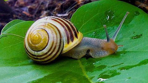20 Unbelievable Facts 4