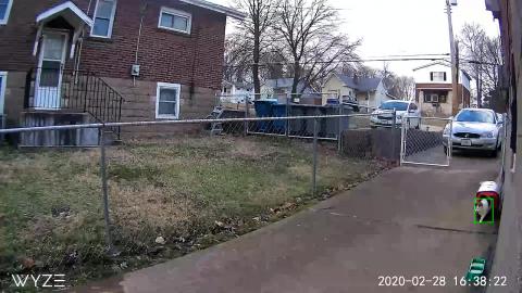 Shaman likes the Pet Carrier