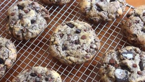Oreos Chocolate Chip Cookies | SweetTreats