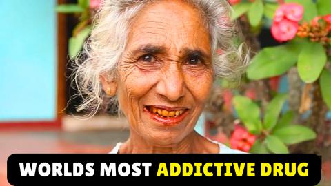 The World's Most Addictive Drug (Betel Nut)