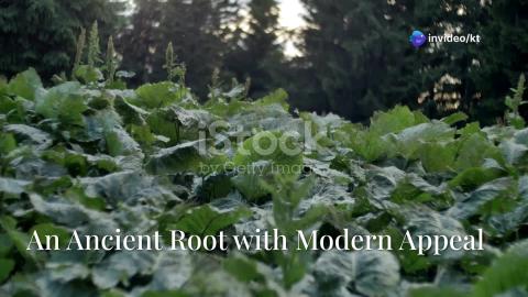 Unlocking Burdock: Health Benefits & Growing Tips!