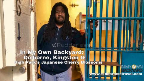 Colborne, Kingston & High Park's Japanese Cherry Blossoms...