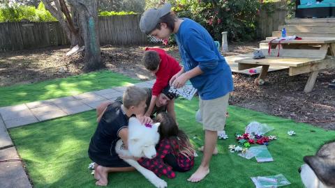 Decorating Our Husky