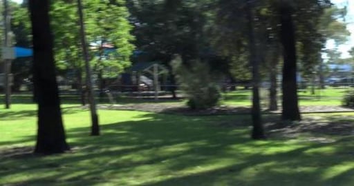 Husky enjoys the fountain in Dalby