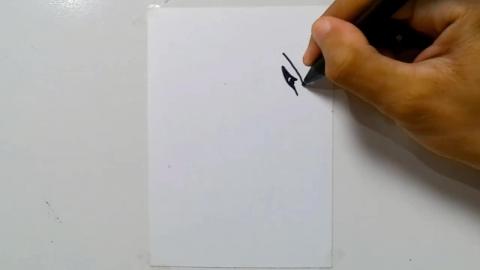 Drawing tatto v15 2024 shorts